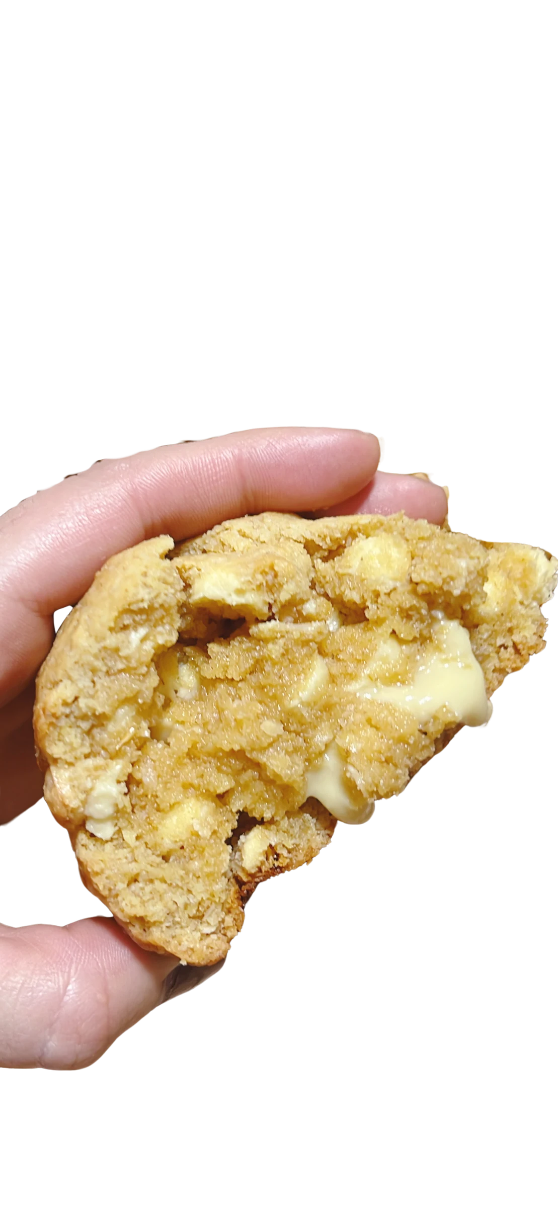 Galleta saludable de chocolate blanco y avellanas partida, mostrando el interior cremoso claro